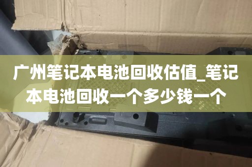 广州笔记本电池回收估值_笔记本电池回收一个多少钱一个
