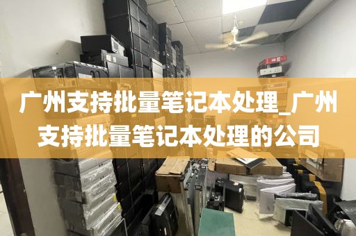 广州支持批量笔记本处理_广州支持批量笔记本处理的公司