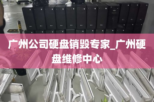广州公司硬盘销毁专家_广州硬盘维修中心
