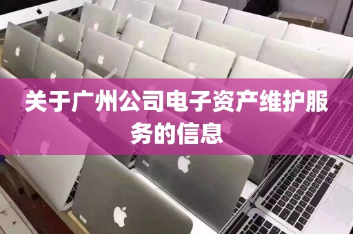 关于广州公司电子资产维护服务的信息