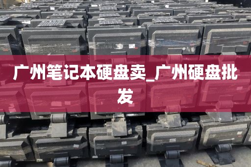 广州笔记本硬盘卖_广州硬盘批发