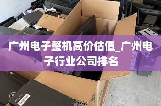 广州电子整机高价估值_广州电子行业公司排名