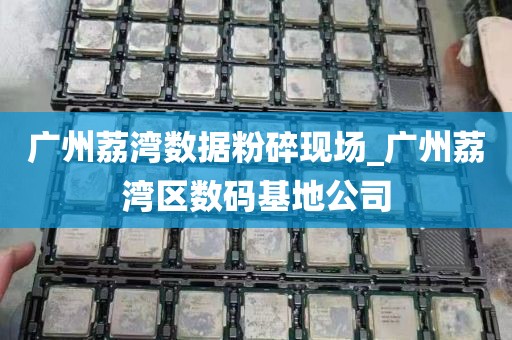 广州荔湾数据粉碎现场_广州荔湾区数码基地公司