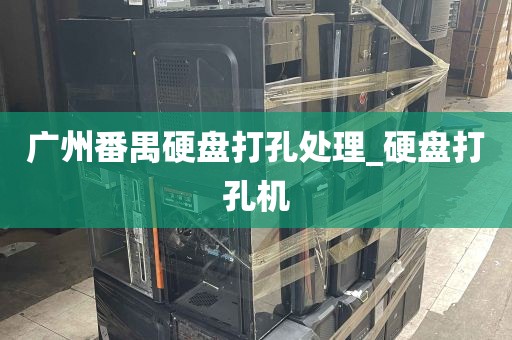 广州番禺硬盘打孔处理_硬盘打孔机