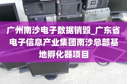广州南沙电子数据销毁_广东省电子信息产业集团南沙总部基地孵化器项目