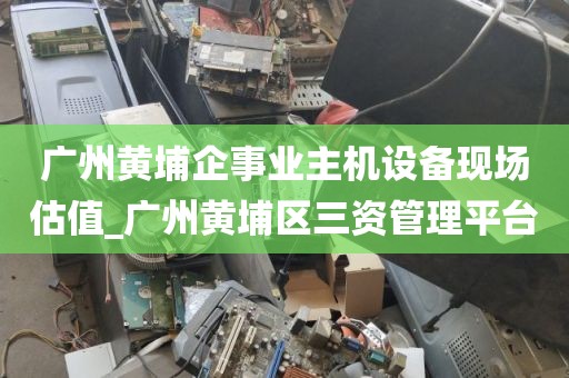 广州黄埔企事业主机设备现场估值_广州黄埔区三资管理平台