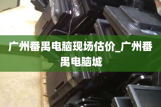广州番禺电脑现场估价_广州番禺电脑城