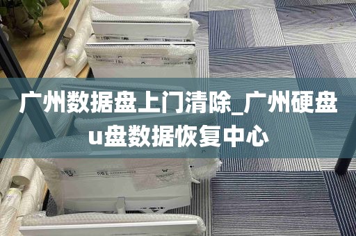 广州数据盘上门清除_广州硬盘u盘数据恢复中心