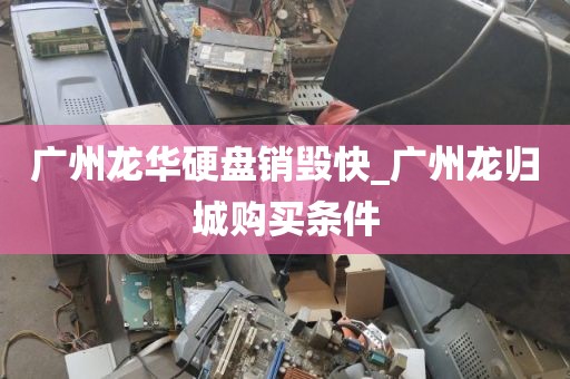广州龙华硬盘销毁快_广州龙归城购买条件