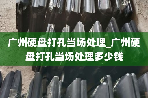 广州硬盘打孔当场处理_广州硬盘打孔当场处理多少钱