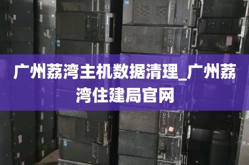 广州荔湾主机数据清理_广州荔湾住建局官网