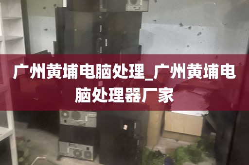 广州黄埔电脑处理_广州黄埔电脑处理器厂家