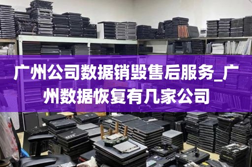 广州公司数据销毁售后服务_广州数据恢复有几家公司