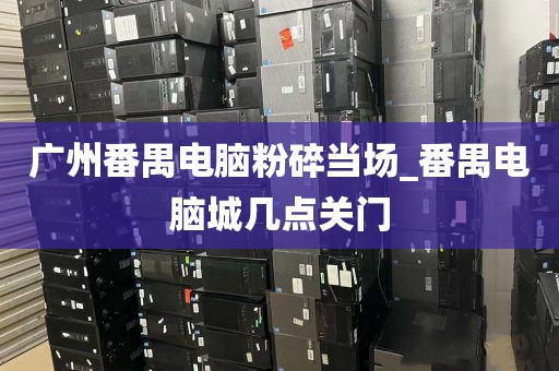 广州番禺电脑粉碎当场_番禺电脑城几点关门