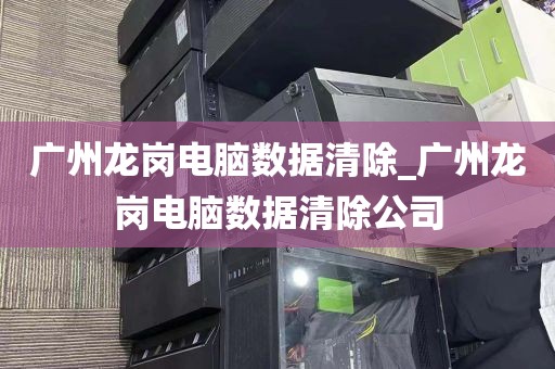 广州龙岗电脑数据清除_广州龙岗电脑数据清除公司