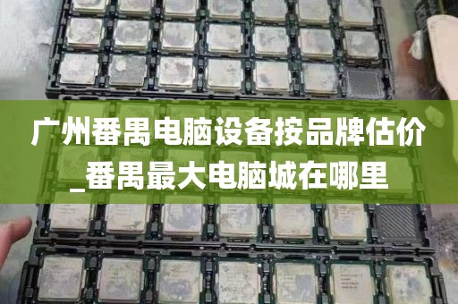 广州番禺电脑设备按品牌估价_番禺最大电脑城在哪里