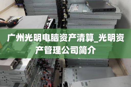 广州光明电脑资产清算_光明资产管理公司简介