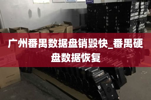 广州番禺数据盘销毁快_番禺硬盘数据恢复