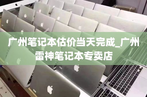 广州笔记本估价当天完成_广州雷神笔记本专卖店