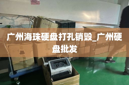 广州海珠硬盘打孔销毁_广州硬盘批发