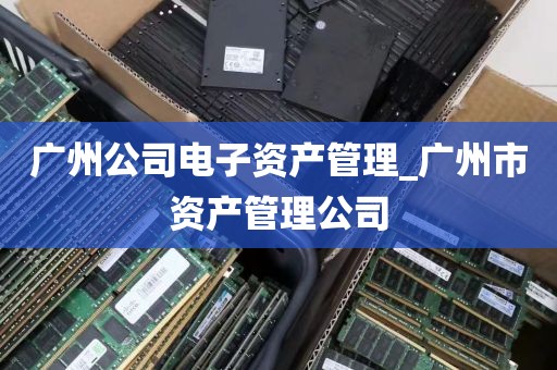 广州公司电子资产管理_广州市资产管理公司