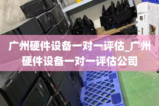 广州硬件设备一对一评估_广州硬件设备一对一评估公司