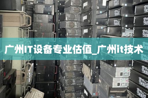 广州IT设备专业估值_广州it技术