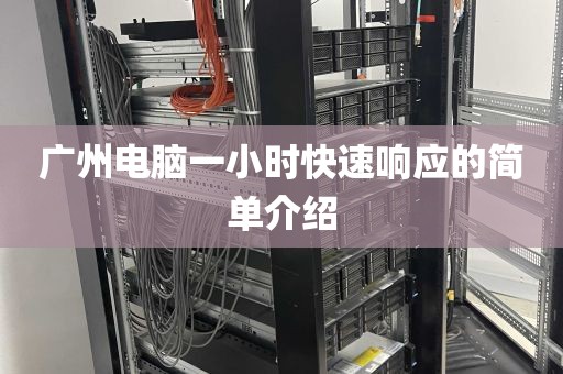 广州电脑一小时快速响应的简单介绍