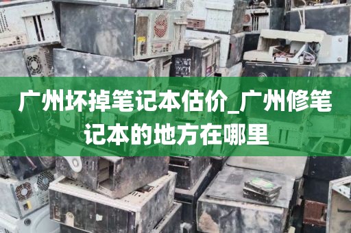 广州坏掉笔记本估价_广州修笔记本的地方在哪里