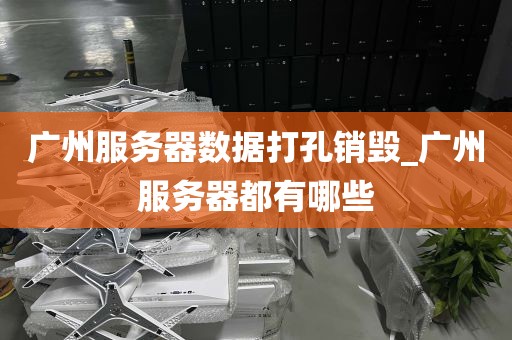 广州服务器数据打孔销毁_广州服务器都有哪些