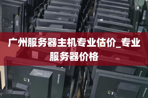 广州服务器主机专业估价_专业服务器价格