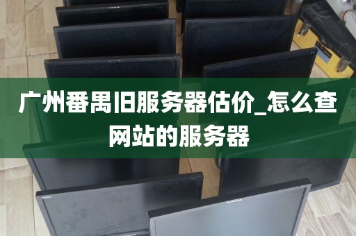 广州番禺旧服务器估价_怎么查网站的服务器