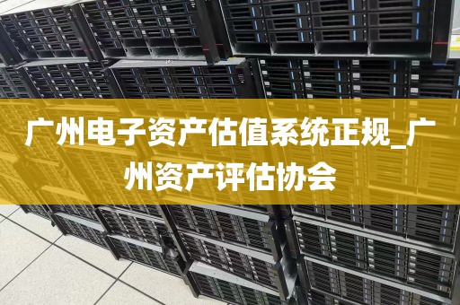 广州电子资产估值系统正规_广州资产评估协会