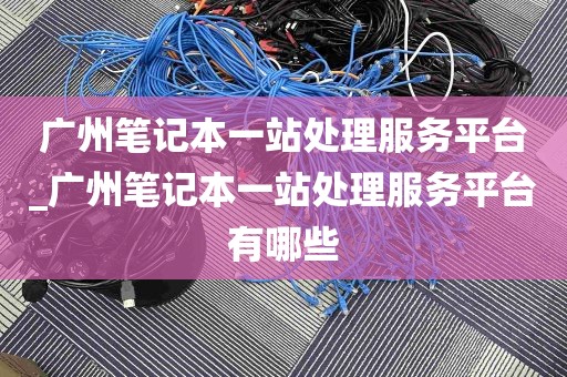 广州笔记本一站处理服务平台_广州笔记本一站处理服务平台有哪些