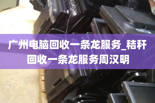 广州电脑回收一条龙服务_秸秆回收一条龙服务周汉明