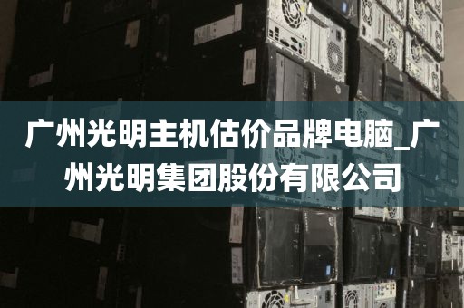 广州光明主机估价品牌电脑_广州光明集团股份有限公司