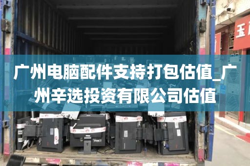 广州电脑配件支持打包估值_广州辛选投资有限公司估值