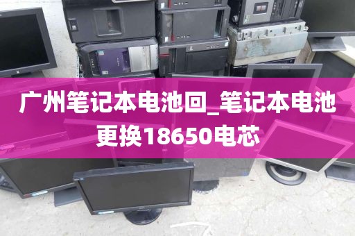 广州笔记本电池回_笔记本电池更换18650电芯