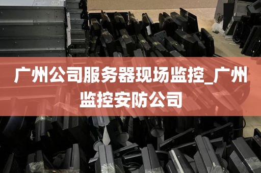 广州公司服务器现场监控_广州监控安防公司