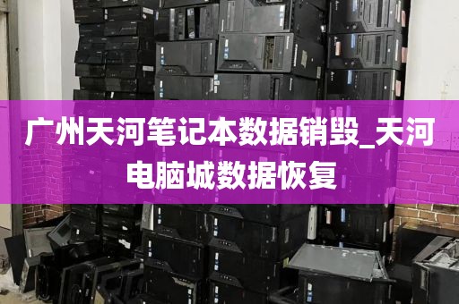广州天河笔记本数据销毁_天河电脑城数据恢复