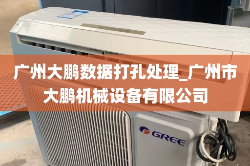 广州大鹏数据打孔处理_广州市大鹏机械设备有限公司