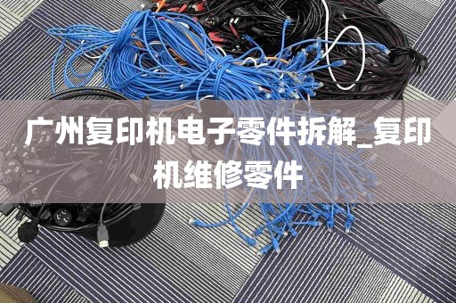 广州复印机电子零件拆解_复印机维修零件
