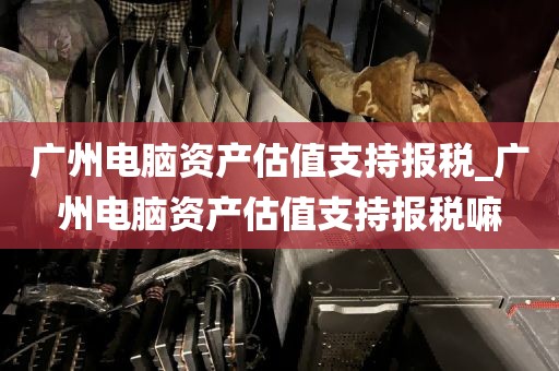 广州电脑资产估值支持报税_广州电脑资产估值支持报税嘛