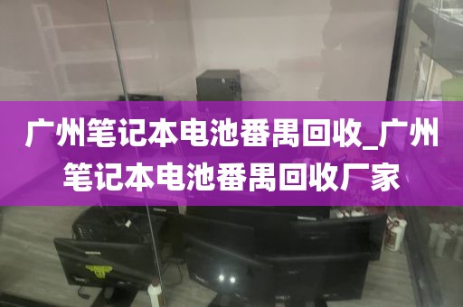 广州笔记本电池番禺回收_广州笔记本电池番禺回收厂家