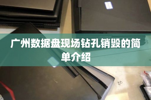 广州数据盘现场钻孔销毁的简单介绍