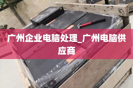 广州企业电脑处理_广州电脑供应商