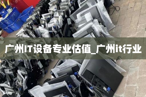 广州IT设备专业估值_广州it行业