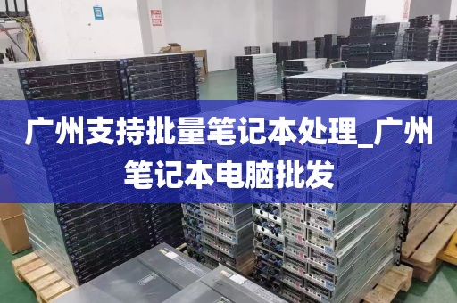 广州支持批量笔记本处理_广州笔记本电脑批发