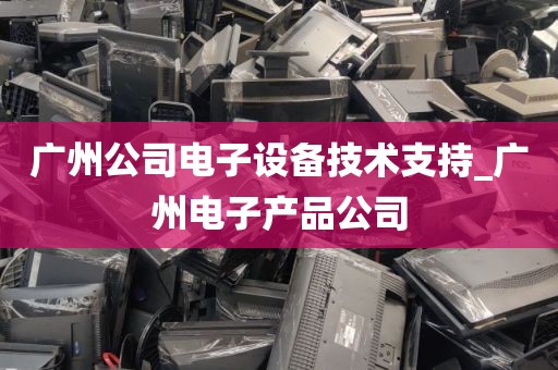 广州公司电子设备技术支持_广州电子产品公司