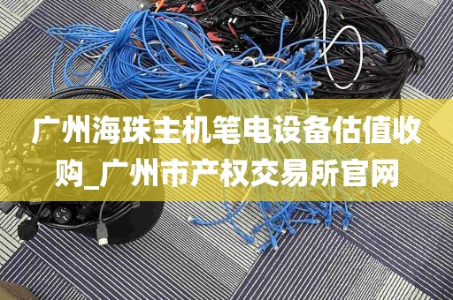 广州海珠主机笔电设备估值收购_广州市产权交易所官网